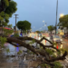 La intensa lluvia provocó caída de árboles y calles anegadas