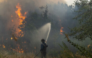 Incendios en el país: más de 250 mil hectáreas en Corrientes y sigue el fuego en El Bolsón y Nahuel Huapi