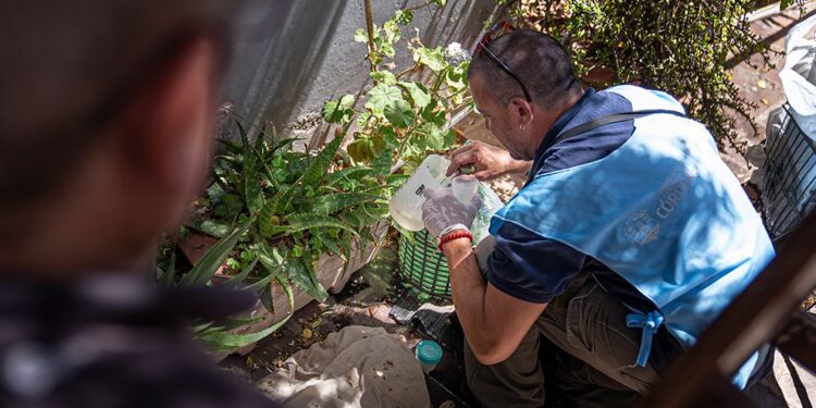 Inició este lunes el tercer monitoreo aédico de la temporada