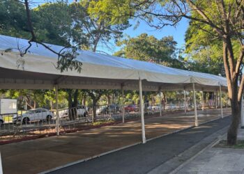 Córdoba se prepara para celebrar el Año Nuevo Chino