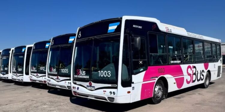 Transporte urbano: empresarios advierten por la extensión del plan de contingencia