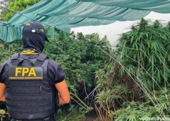 La FPA desarticuló un punto de venta de drogas y secuestró más de 7000 dosis de estupefacientes en Villa María