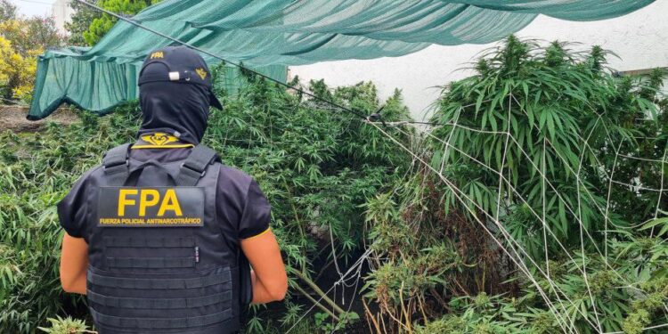 La FPA desarticuló un punto de venta de drogas y secuestró más de 7000 dosis de estupefacientes en Villa María