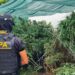 La FPA desarticuló un punto de venta de drogas y secuestró más de 7000 dosis de estupefacientes en Villa María