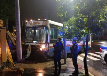 Siniestro vial: un colectivo perdió el control y se incrustó en una maderera