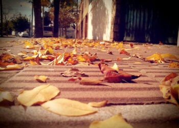 Clima en Córdoba: ambiente húmedo y temperaturas en aumento durante los próximos días