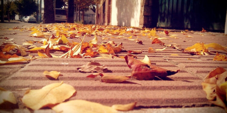 Clima en Córdoba: ambiente húmedo y temperaturas en aumento durante los próximos días