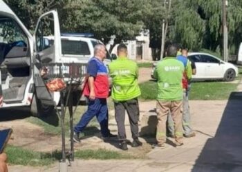 Un nene de 12 años mató a su padrastro para que dejara de pegarle a su mamá
