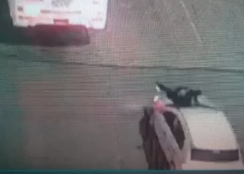 Arrastró en el capot a un policía por varias cuadras