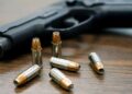 El Senado aprobó la ley de regularización y entrega voluntaria de armas