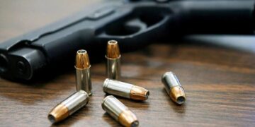 El Senado aprobó la ley de regularización y entrega voluntaria de armas