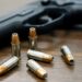 El Senado aprobó la ley de regularización y entrega voluntaria de armas