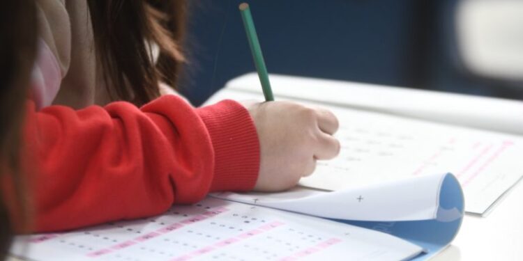 Pruebas Aprender: solo el 45% de los alumnos de tercer grado logra el nivel esperado de lectura