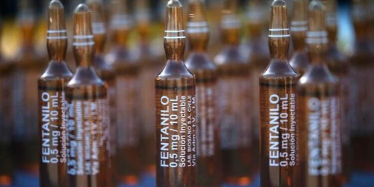 La OMS emitió un alerta por fentanilo contaminado en la Argentina