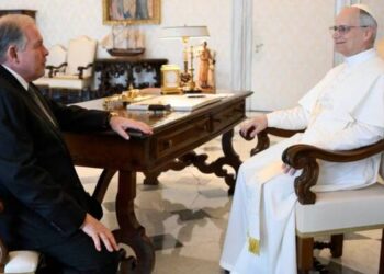 Milei se reunirá con el papa León XIV en las próximas semanas