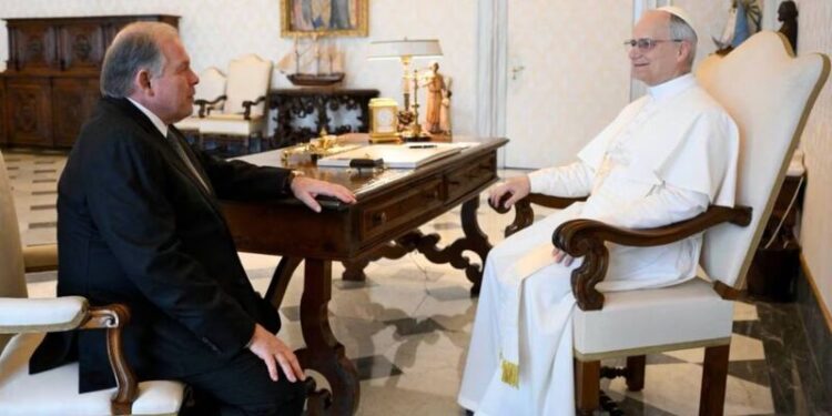 Milei se reunirá con el papa León XIV en las próximas semanas