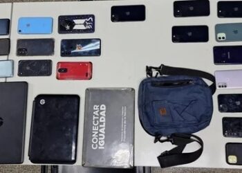 Desarticularon una banda que robaba celulares en recitales