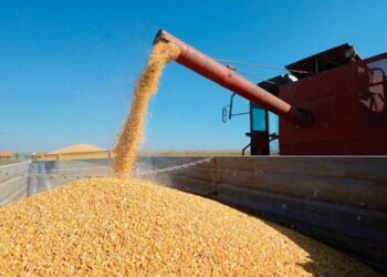 El Gobierno baja las retenciones al campo