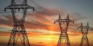 El Gobierno oficializó la privatización de Transener