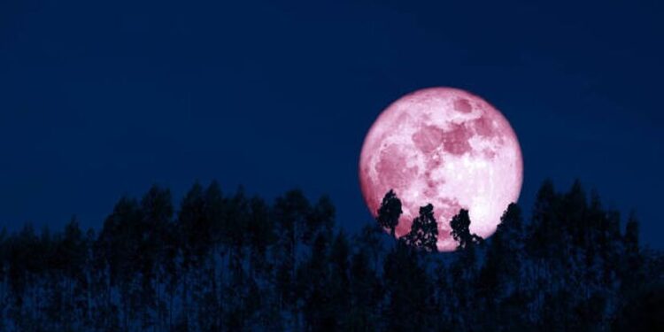 Luna de Fresa 2025: en qué horario podrá verse en Argentina