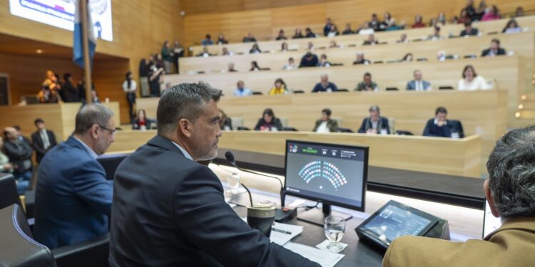 La Legislatura aprobó la creación del Colegio Profesional de Psicomotricidad