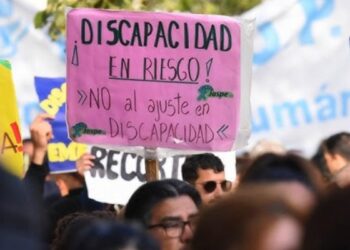 El Senado convirtió en ley la Emergencia en Discapacidad