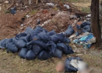 Encontraron restos humanos en un descampado cerca del Chateau