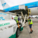 El Gobierno avanza con la privatización de Intercargo: los ejes de la licitación