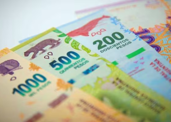 Presentaron un proyecto para reemplazar el peso por el "Argentum"