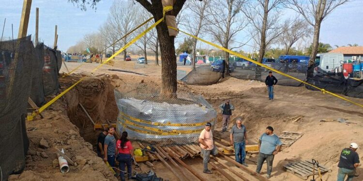 No pudieron remover el quebracho blanco y está en riesgo grave