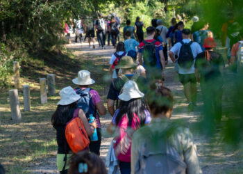 Sábado con recorrido gratuito por la Reserva Natural San Martín para celebrar la Semana del Árbol