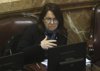 Polémica frase de una senadora: "No creo que los niños tengan derecho a ser curados en el Garrahan"