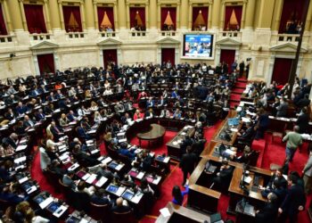 Diputados rechazó el veto a la ley que declara la emergencia en discapacidad