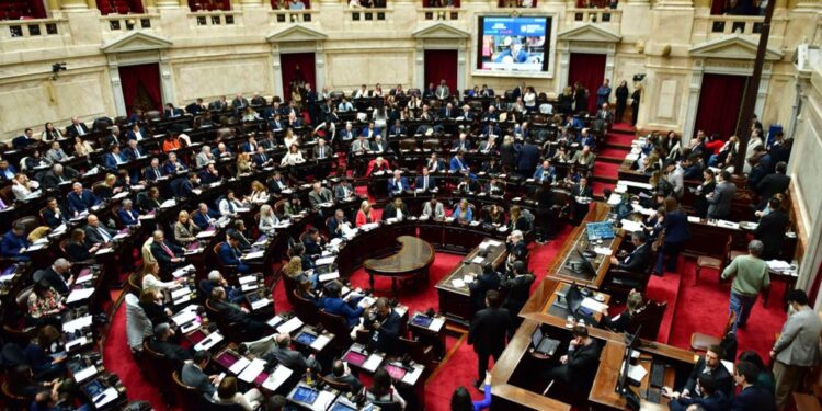 Diputados rechazó el veto a la ley que declara la emergencia en discapacidad