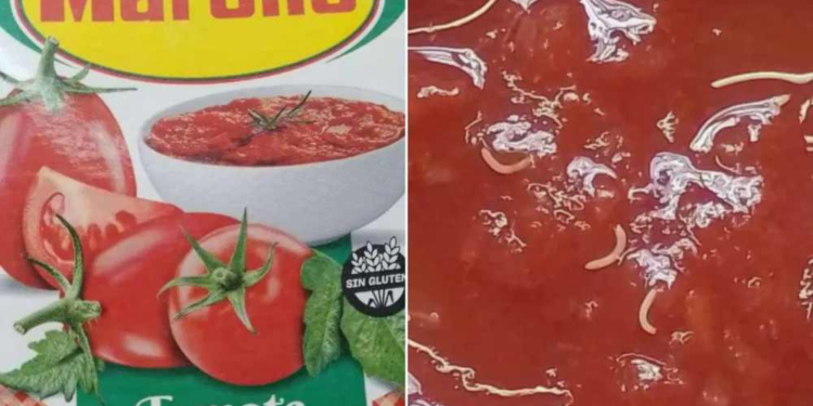 Tomate Marolio: cuál es el lote afectado y cómo reconocer el envase para no consumirlo
