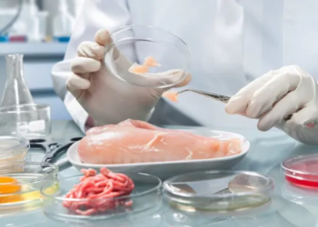 Disuelven la Comisión Nacional de Alimentos