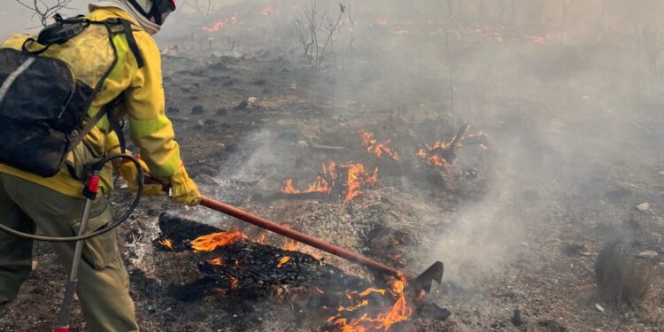 Bomberos combaten un incendio en la zona de Pampa Alta