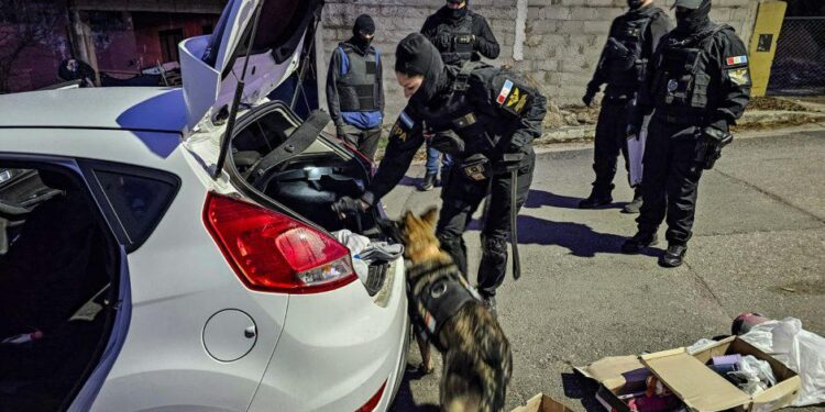 Detuvieron a nueve personas que integraban una banda narco