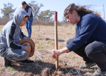 Campaña de forestación: crecerán 100 mil árboles nativos en Córdoba