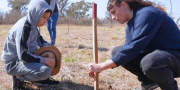 Campaña de forestación: crecerán 100 mil árboles nativos en Córdoba