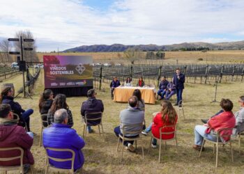 La Provincia presentó el Programa Viñedos Sostenibles