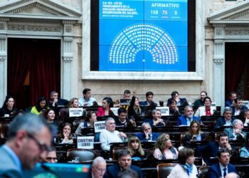 El Gobierno promulgó las leyes universitaria y pediátrica, pero pospuso su aplicación