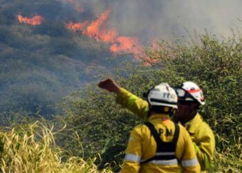 El fuego en Quebrada del Condorito lleva seis días activo