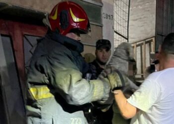Bomberos rescataron a dos perros durante un incendio en Alta Córdoba