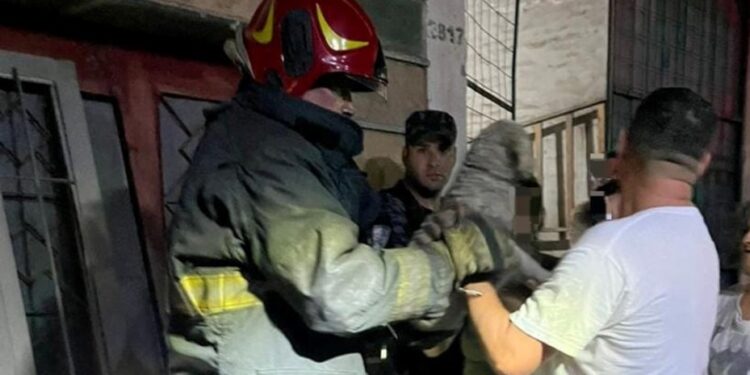 Bomberos rescataron a dos perros durante un incendio en Alta Córdoba