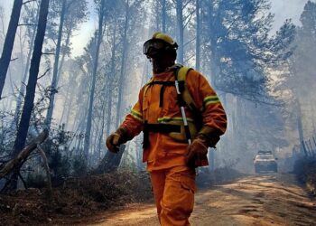 Contuvieron el incendio forestal en La Población, sigue activo el de Guasapampa y el riesgo permanece