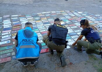 Desbarataron una banda que falsificaba patentes y las comercializaba