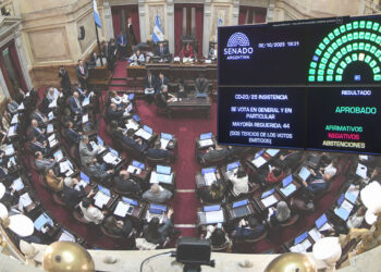 El Senado rechazó los vetos de Milei y convirtió en ley la emergencia pediátrica y el financiamiento universitario