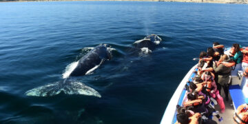 Puerto Madryn impulsa la promoción patagónica en Córdoba bajo la marca: "Patagonia Fantástica"