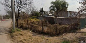 Revelaron que lo hallado en un baldío de Córdoba no eran restos humanos